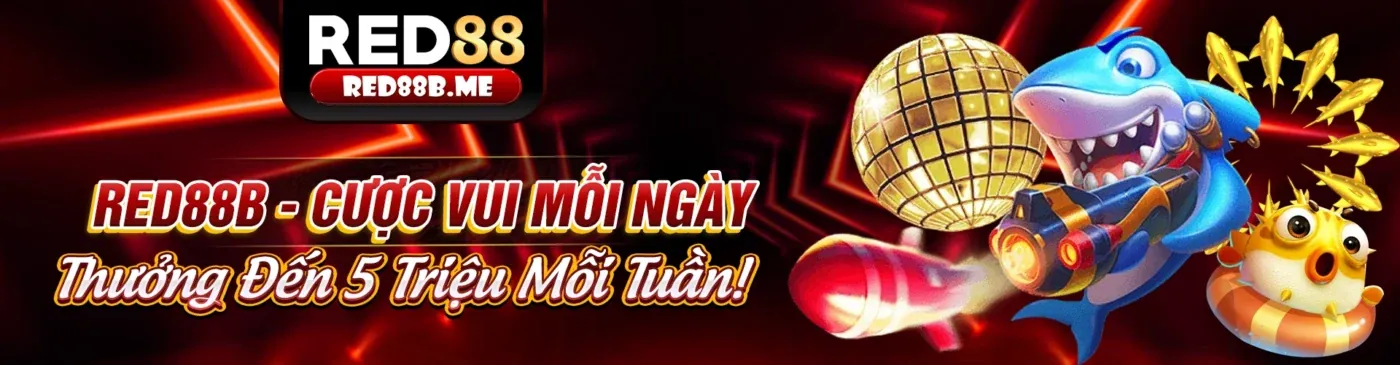 Hình ảnh minh họa khái niệm cá cược có trách nhiệm tại keo nhà cái 5